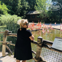 фото из отзыва ID 1734441