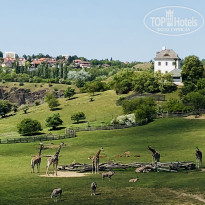 фото из отзыва ID 1734441