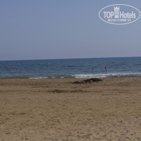 фото из отзыва ID 1734575