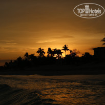 фото из отзыва ID 1732174