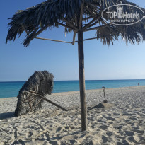 фото из отзыва ID 1732174