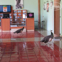 фото из отзыва ID 1734673