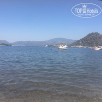 фото из отзыва ID 1734799