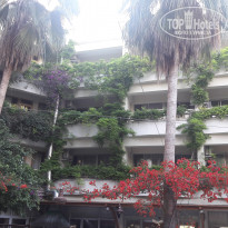 фото из отзыва ID 1735222