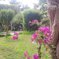 фото из отзыва ID 1735222