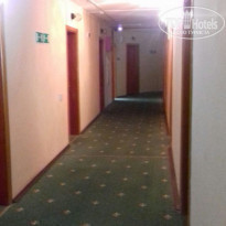 фото из отзыва ID 1732969