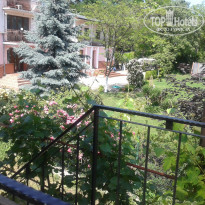 фото из отзыва ID 1735325