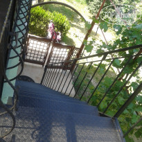 фото из отзыва ID 1735325