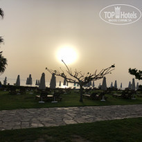 фото из отзыва ID 1730109