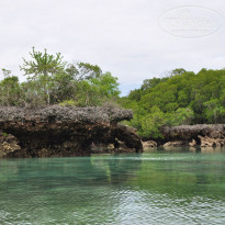 фото из отзыва ID 1734329