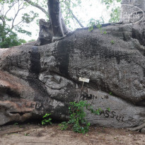 фото из отзыва ID 1734329