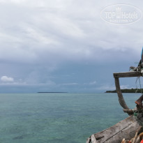 фото из отзыва ID 1734329