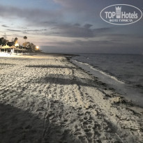 фото из отзыва ID 1735791