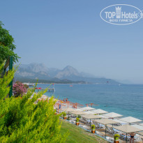 фото из отзыва ID 1735828