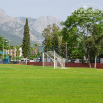 фото из отзыва ID 1735828