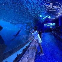 фото из отзыва ID 1735845