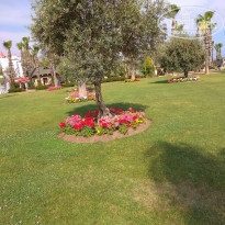 фото из отзыва ID 1735904