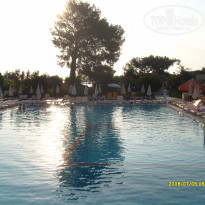 фото из отзыва ID 1735959