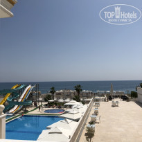 фото из отзыва ID 1736017