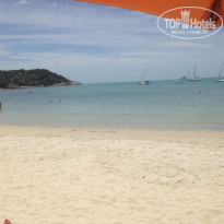 фото из отзыва ID 1736046