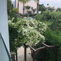 фото из отзыва ID 1736136