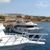 фото из отзыва ID 1736220