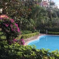 фото из отзыва ID 1736359