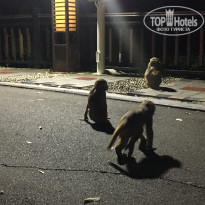 фото из отзыва ID 1736359