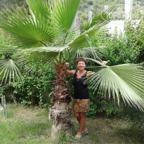 фото из отзыва ID 1736568