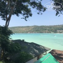 фото из отзыва ID 1736667