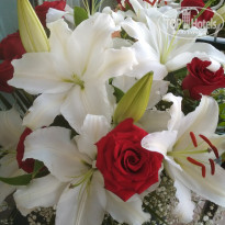 фото из отзыва ID 1736674