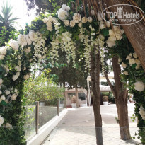 фото из отзыва ID 1736687