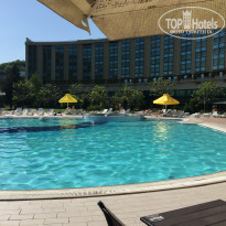 фото из отзыва ID 1736654