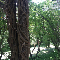 фото из отзыва ID 1736654