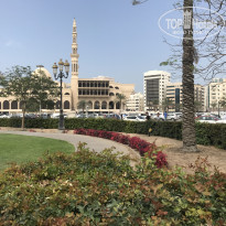 фото из отзыва ID 1736825