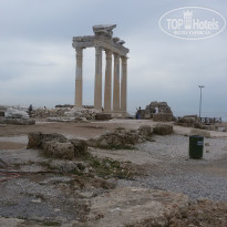 фото из отзыва ID 1736835