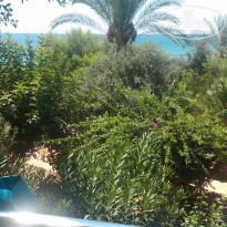 фото из отзыва ID 1736862