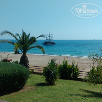 фото из отзыва ID 1736862