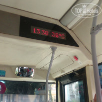 фото из отзыва ID 1736862