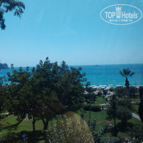 фото из отзыва ID 1736862