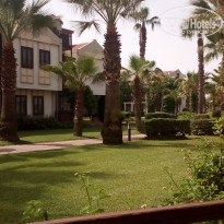 фото из отзыва ID 1736768