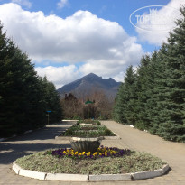 фото из отзыва ID 1736976