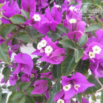 фото из отзыва ID 1736995