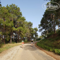 фото из отзыва ID 1737127