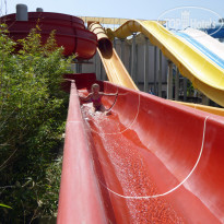 фото из отзыва ID 1737241