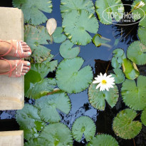 фото из отзыва ID 1737308