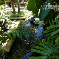 фото из отзыва ID 1737308