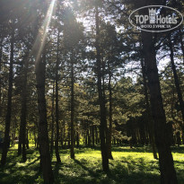 фото из отзыва ID 1737407