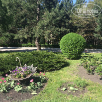 фото из отзыва ID 1737407