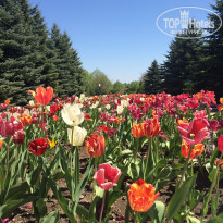 фото из отзыва ID 1737407